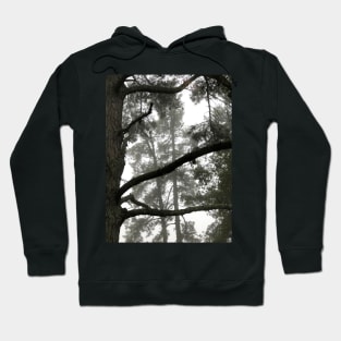 Foggy Woods - Grey Morning Fog in a Redwood Forest - Black and White Trees Hoodie